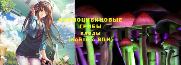 хмурый Богданович