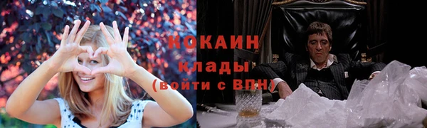 ALPHA PVP Богородицк