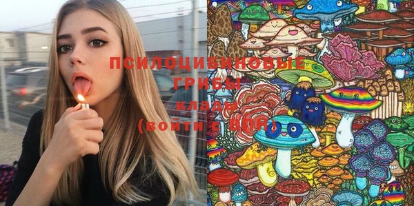 PSILOCYBIN Богородск