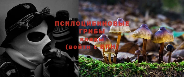 хмурый Богданович