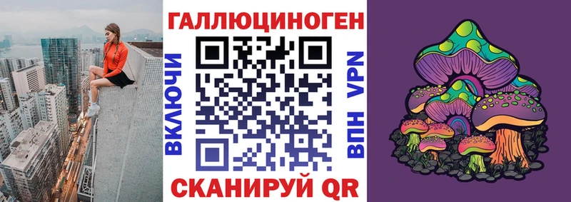Галлюциногенные грибы Psilocybe  Нелидово 